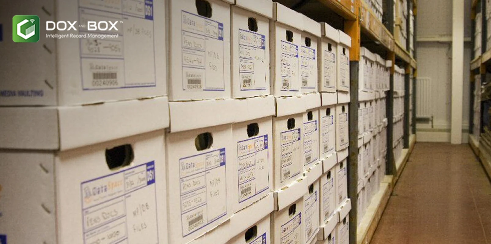 document management company in india